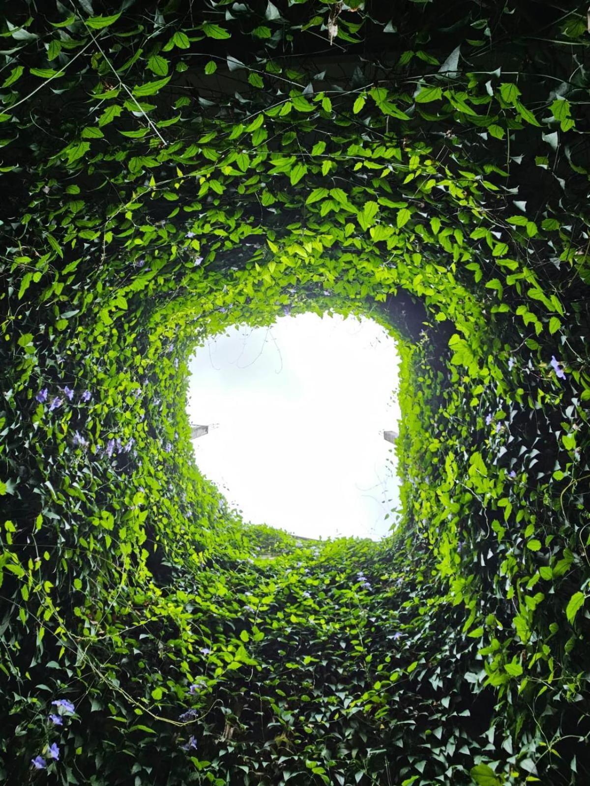 More Joy Matara Dış mekan fotoğraf